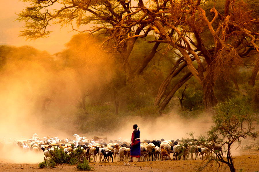 Kenia, la tierra de los Masai